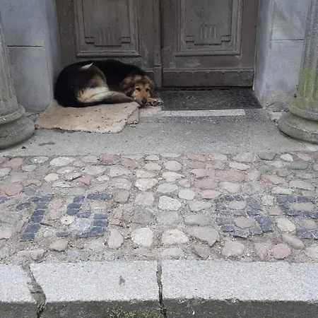 Lehmbau Im Kastanienhof *